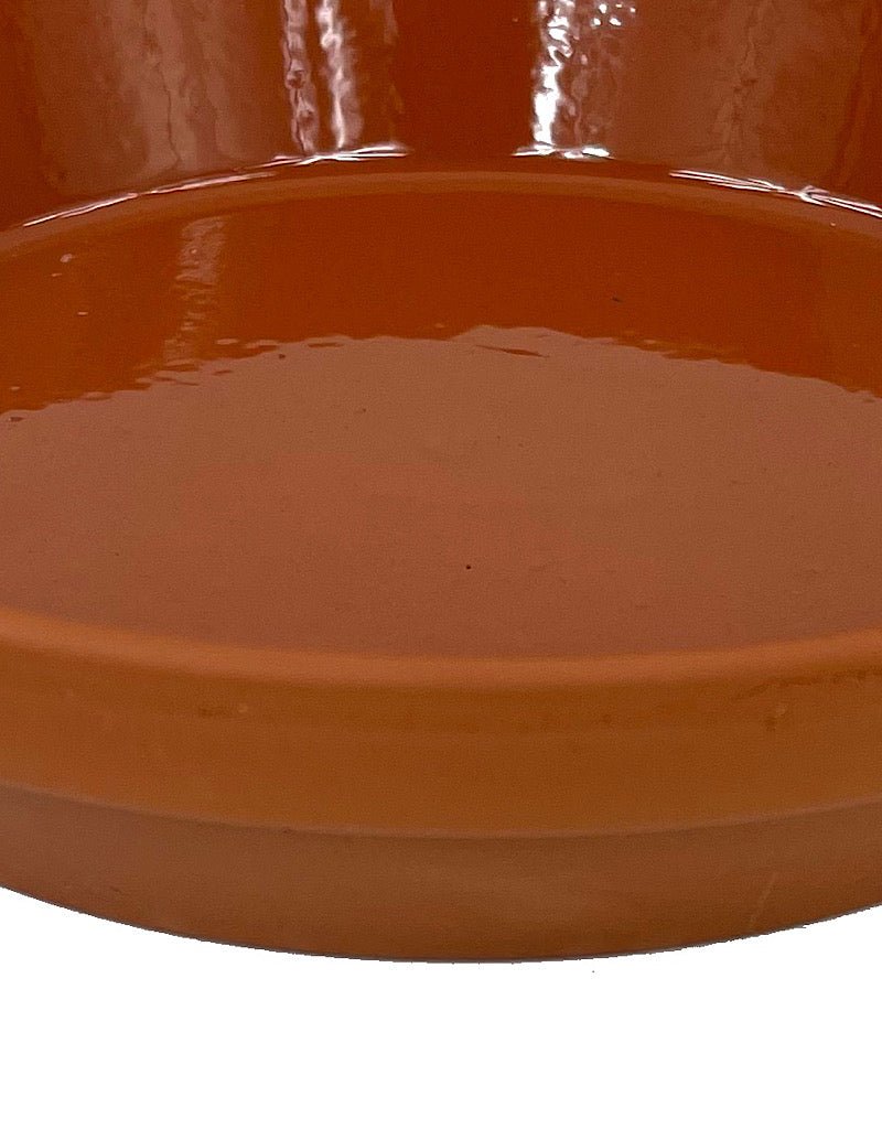 Glazed Terracotta Saucer - The Garden Corner
