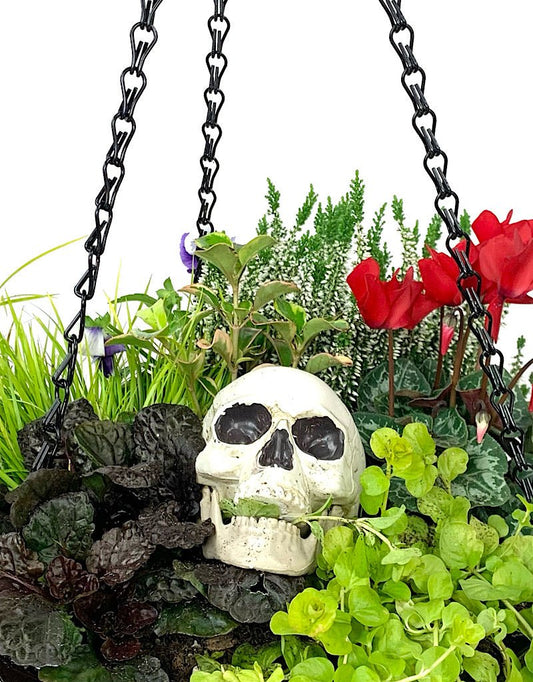 Hanging Garden 38 - The Garden Corner