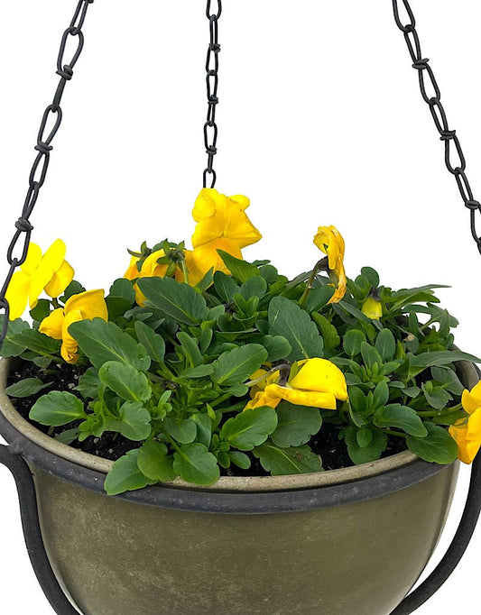 Hanging Garden 53 - The Garden Corner