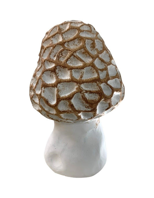 Concrete Morel Mushroom - The Garden Corner