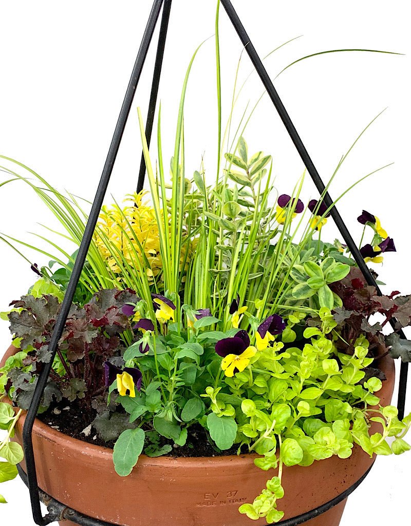 Hanging Garden 28 - The Garden Corner