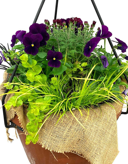 Hanging Garden 29 - The Garden Corner