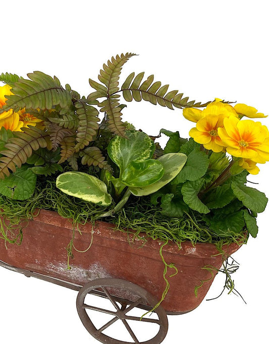 GC Exclusive 12 - The Garden Corner