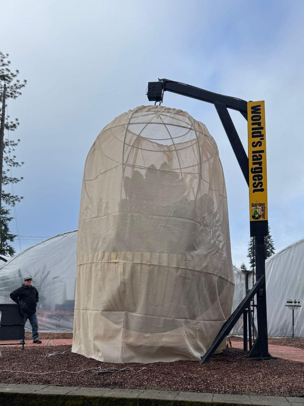 World’s Largest Hanging Basket Spring Reveal