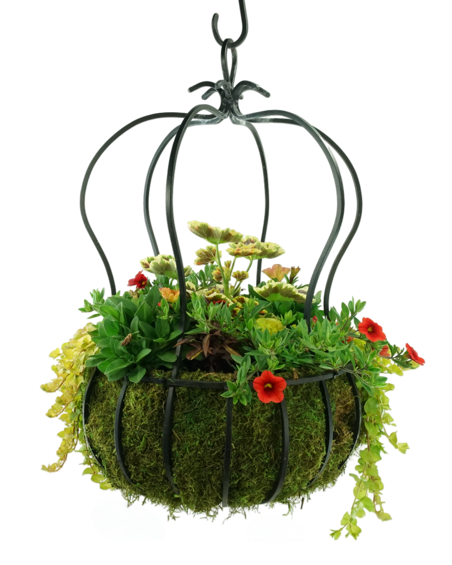 Workshops - The Garden Corner