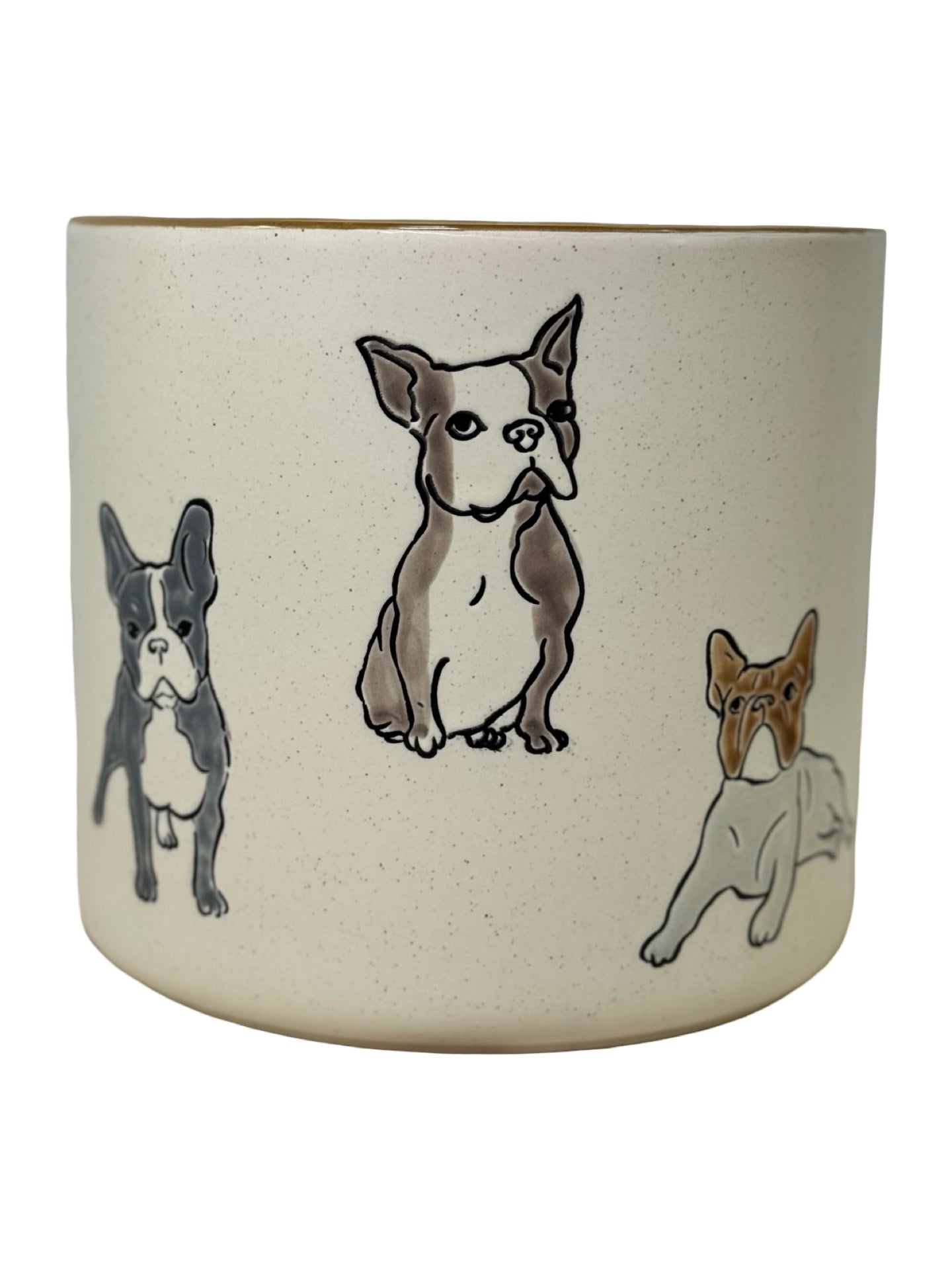 Boston Terrier Planter - Pottery