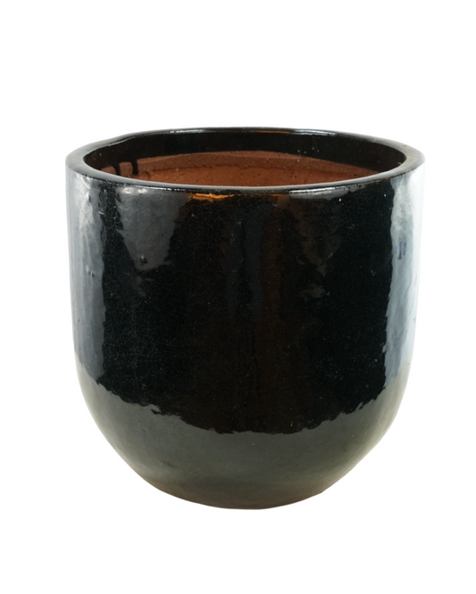 Short Egg Planter Black Gloss - Pottery