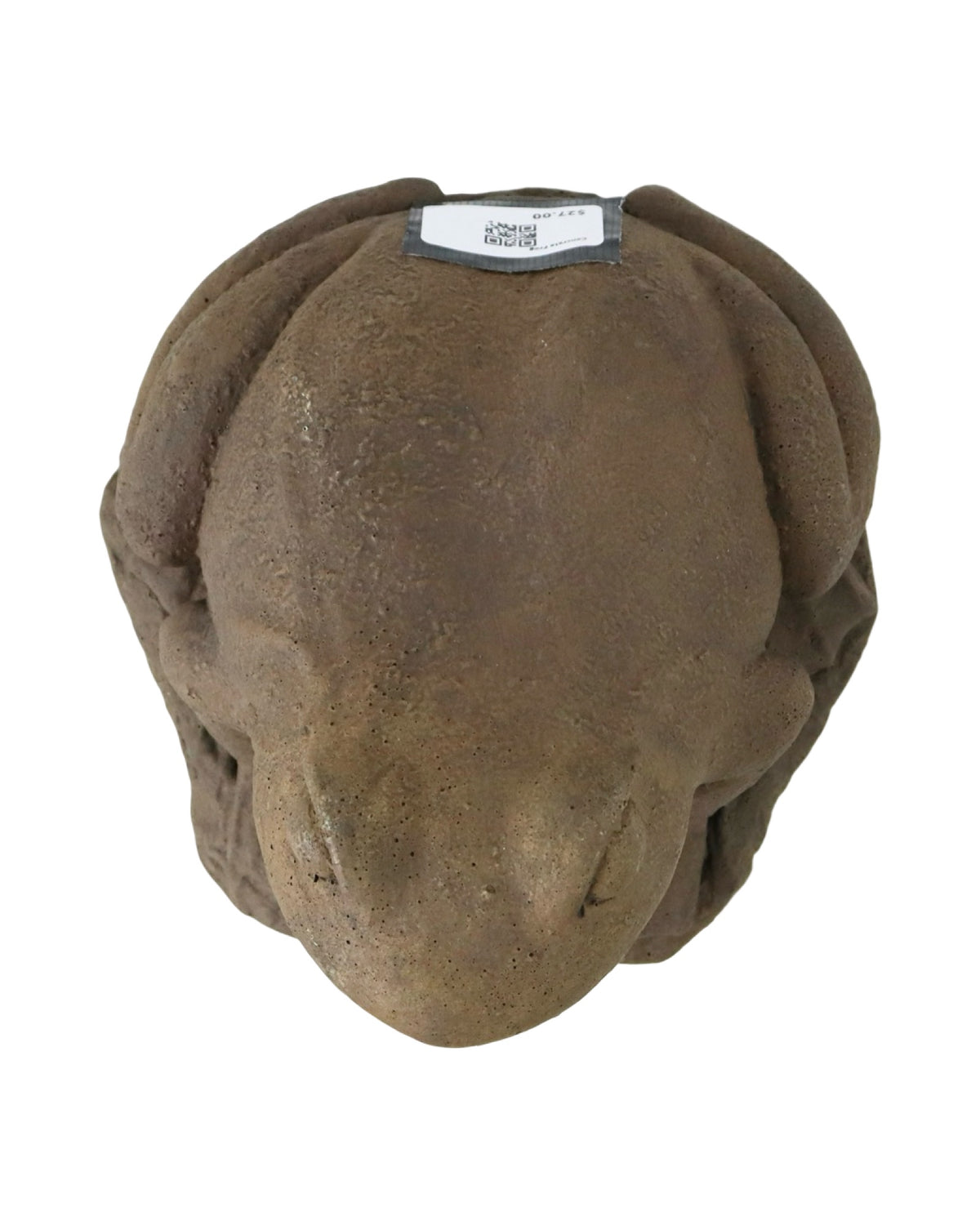 Concrete Frog - Outdoor Living