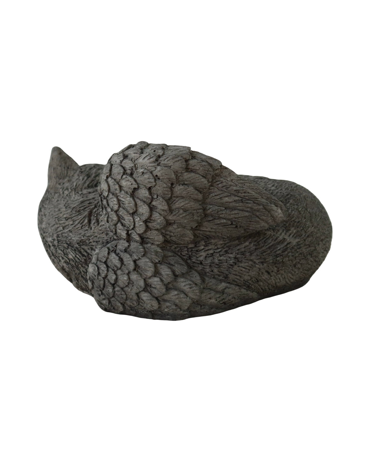 Angel Wing Cat - Outdoor Living