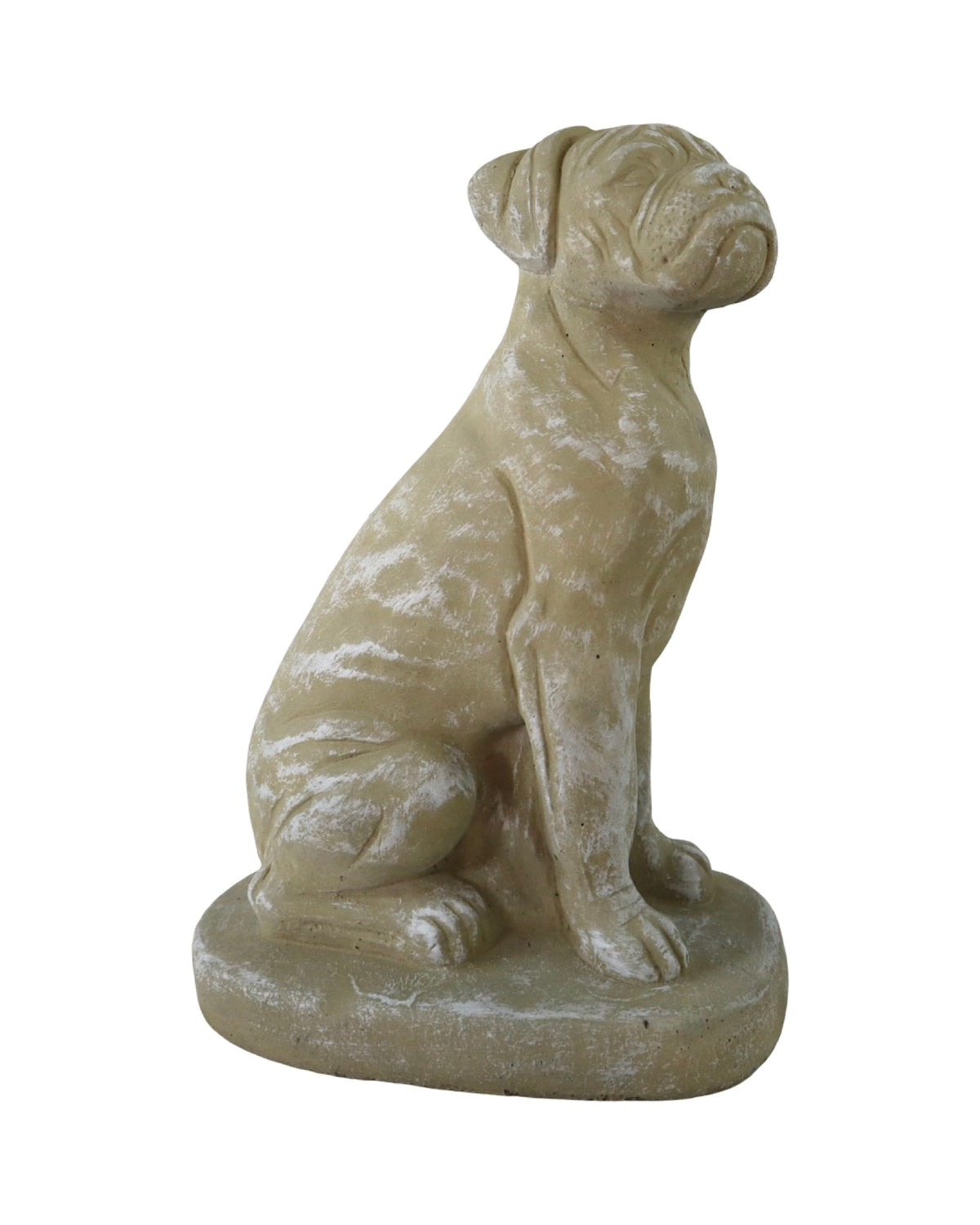 Concrete Boxer Dog - Outdoor Living