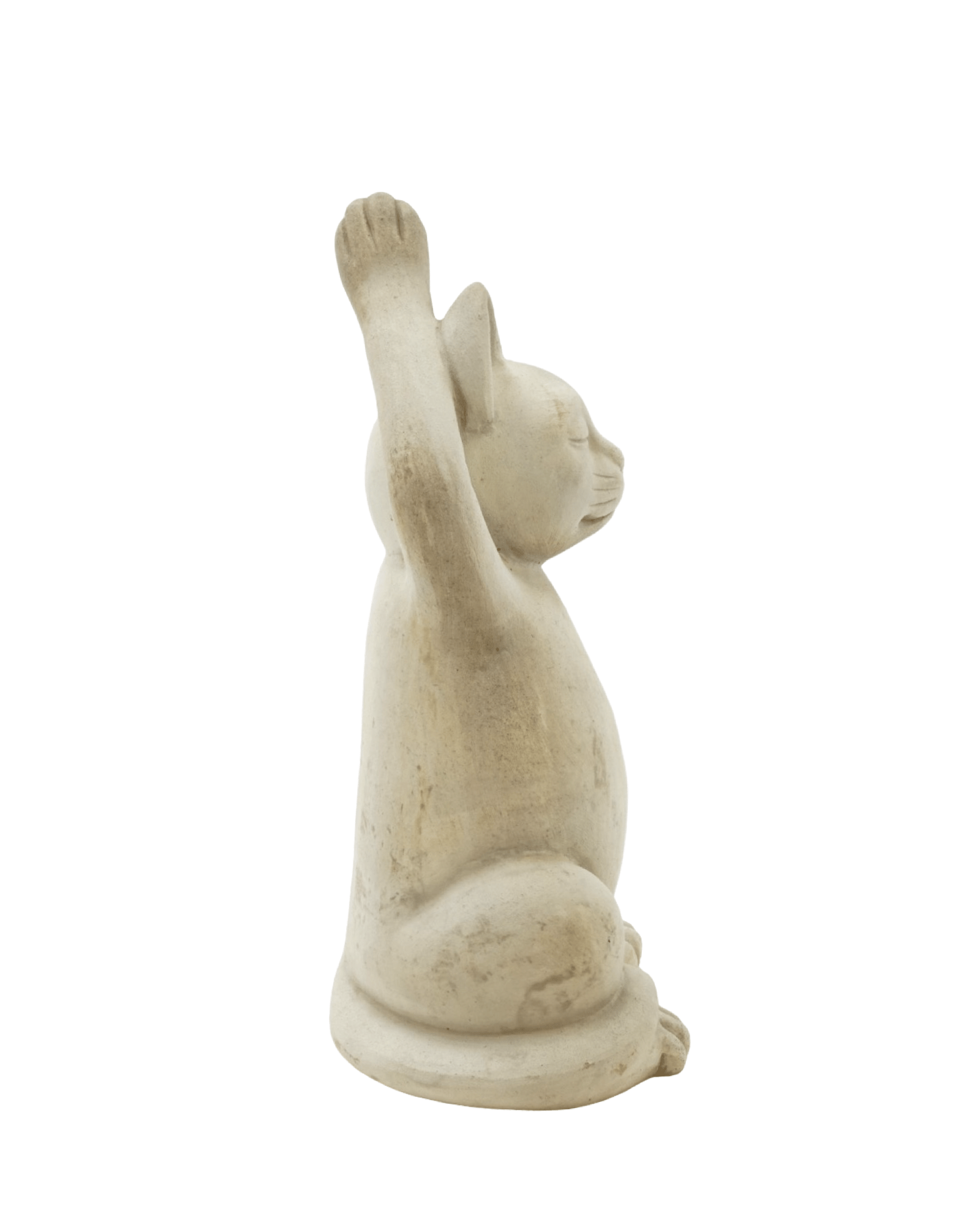 Meditating Cat - The Garden Corner