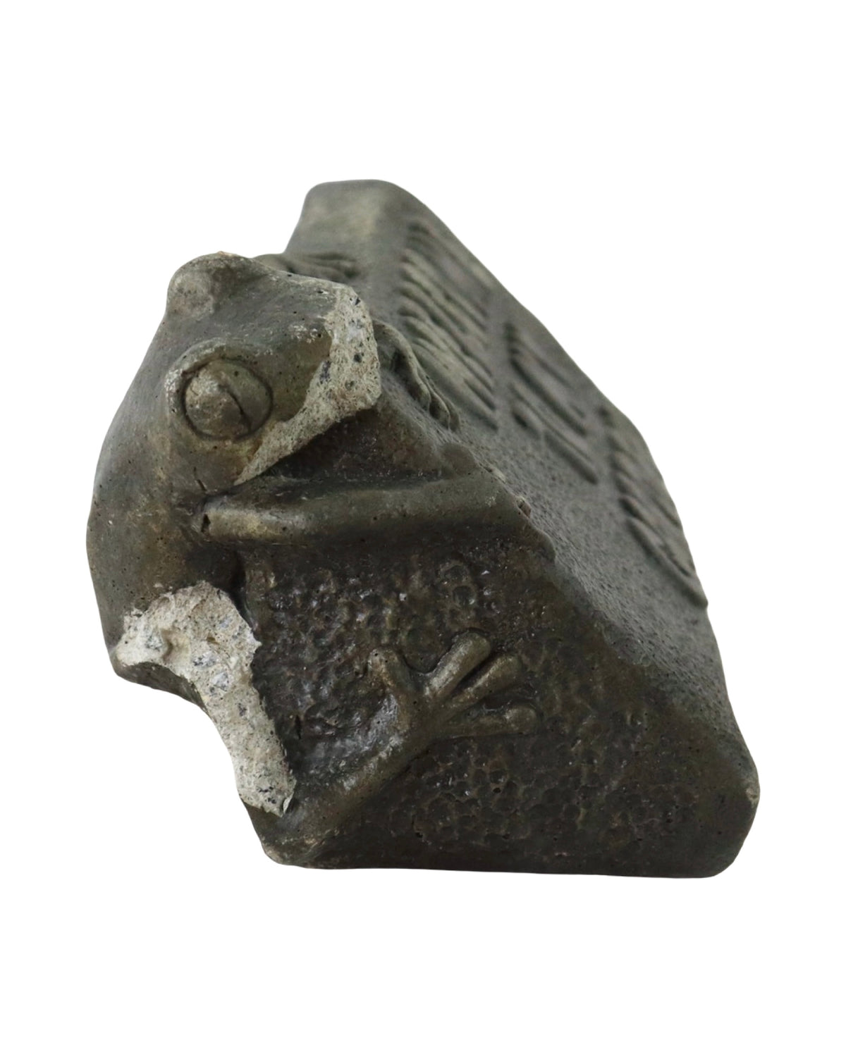 Frog Welcome Stone - Outdoor Living