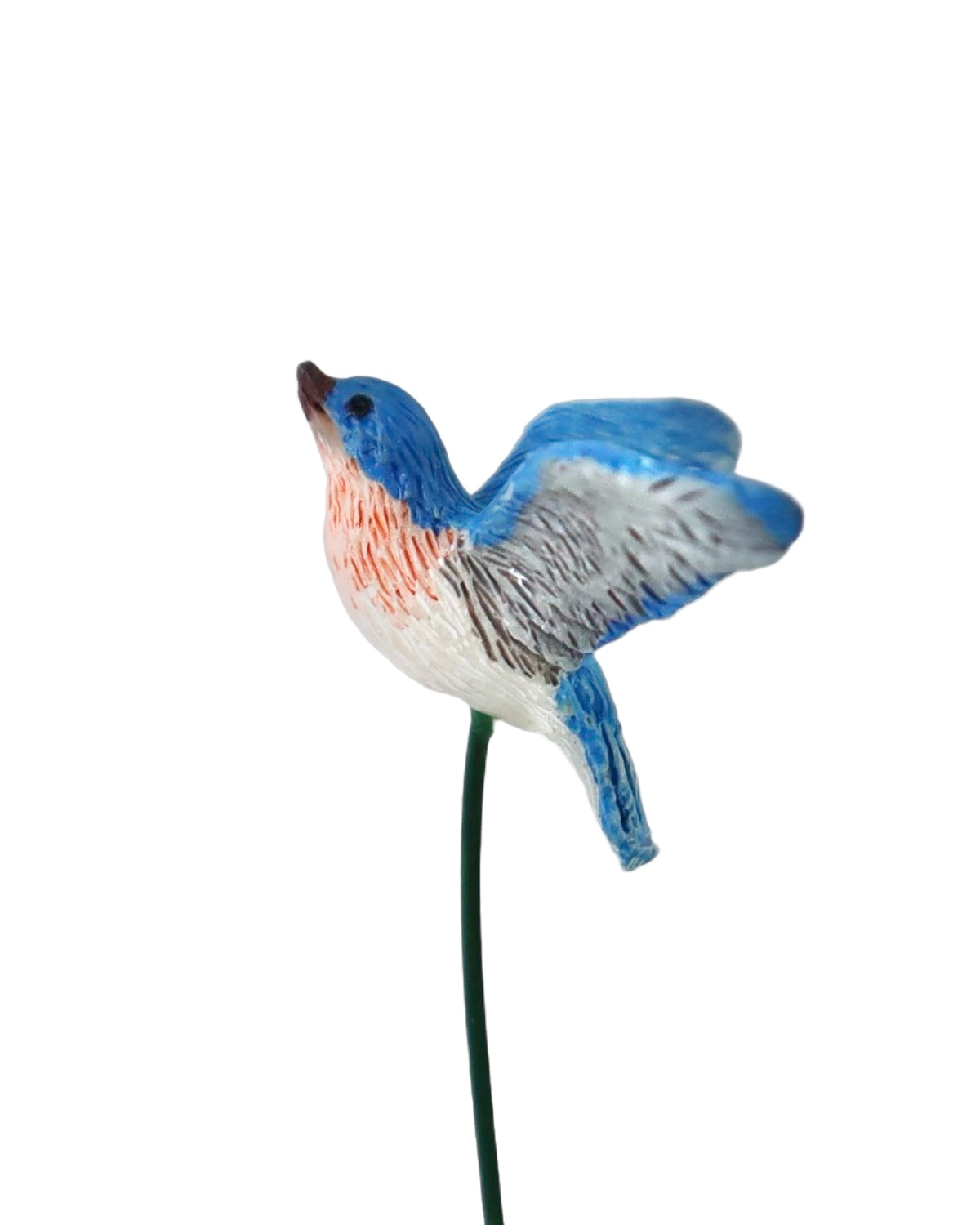 Fairy Bluebird - Outdoor Living