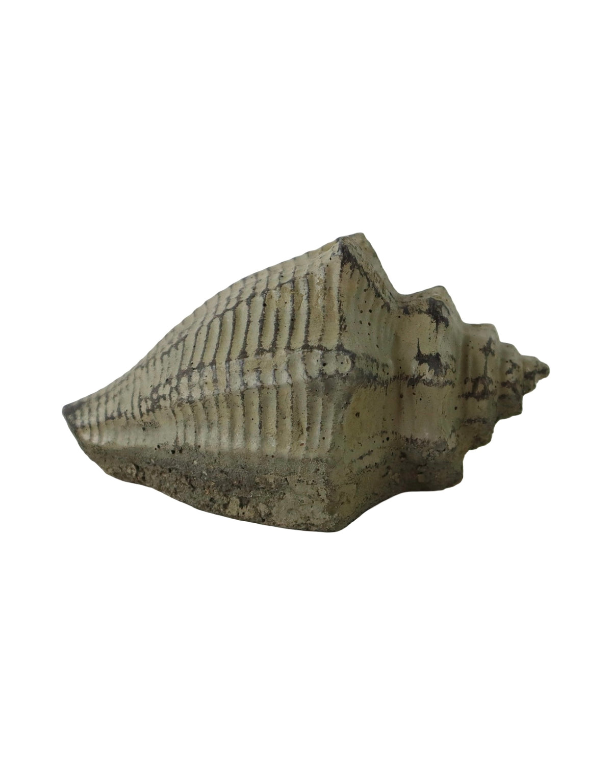 Concrete Conch Shell - Outdoor Living