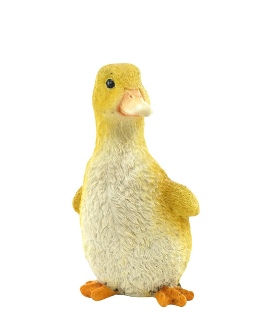 Duckling - The Garden Corner