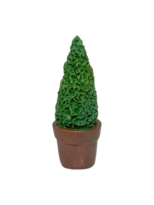 Tiny Boxwood Tree - Outdoor Living