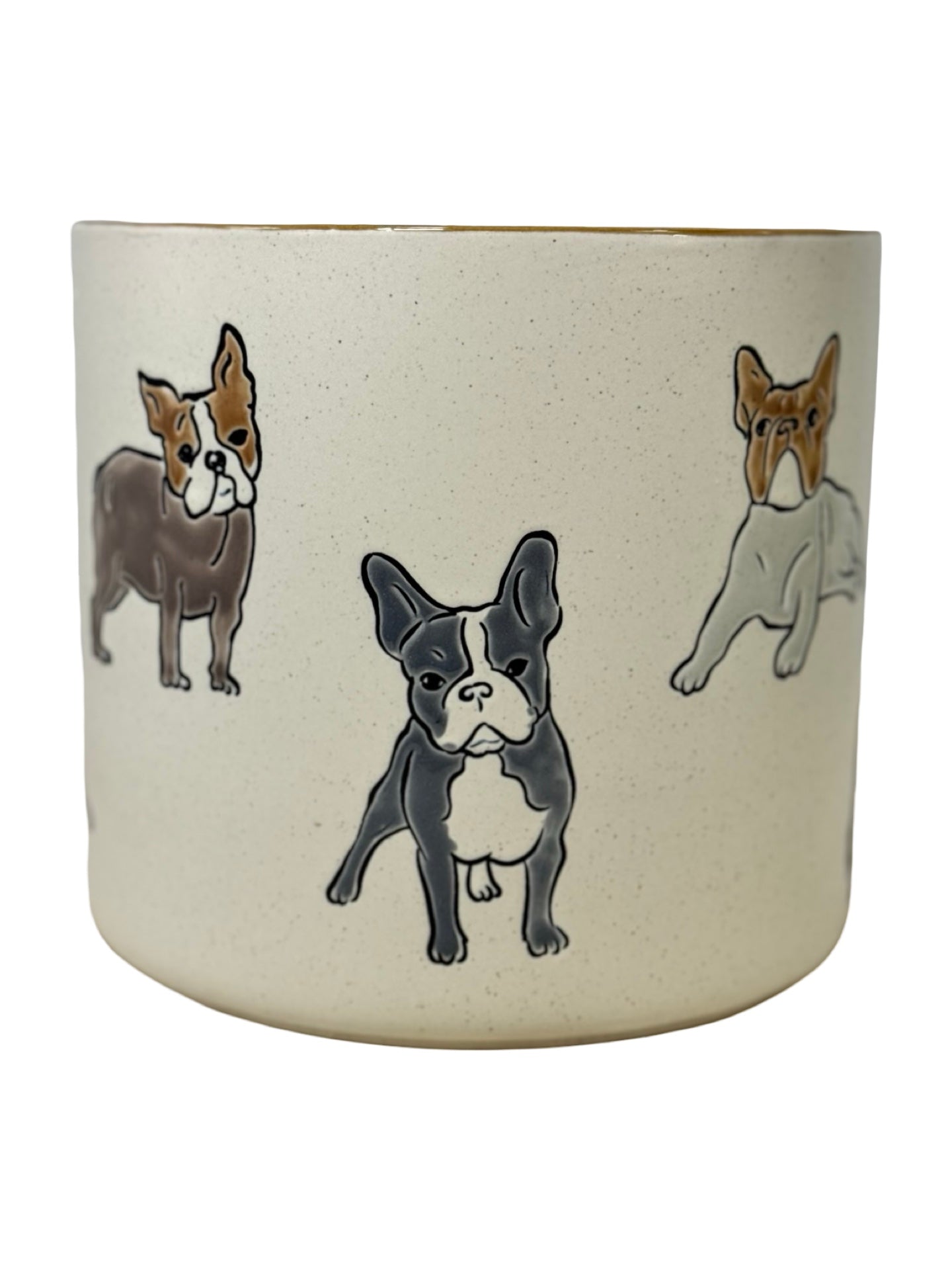Boston Terrier Planter - Pottery