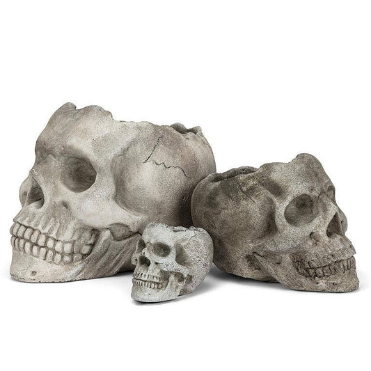 Cement Skull Planter - The Garden Corner