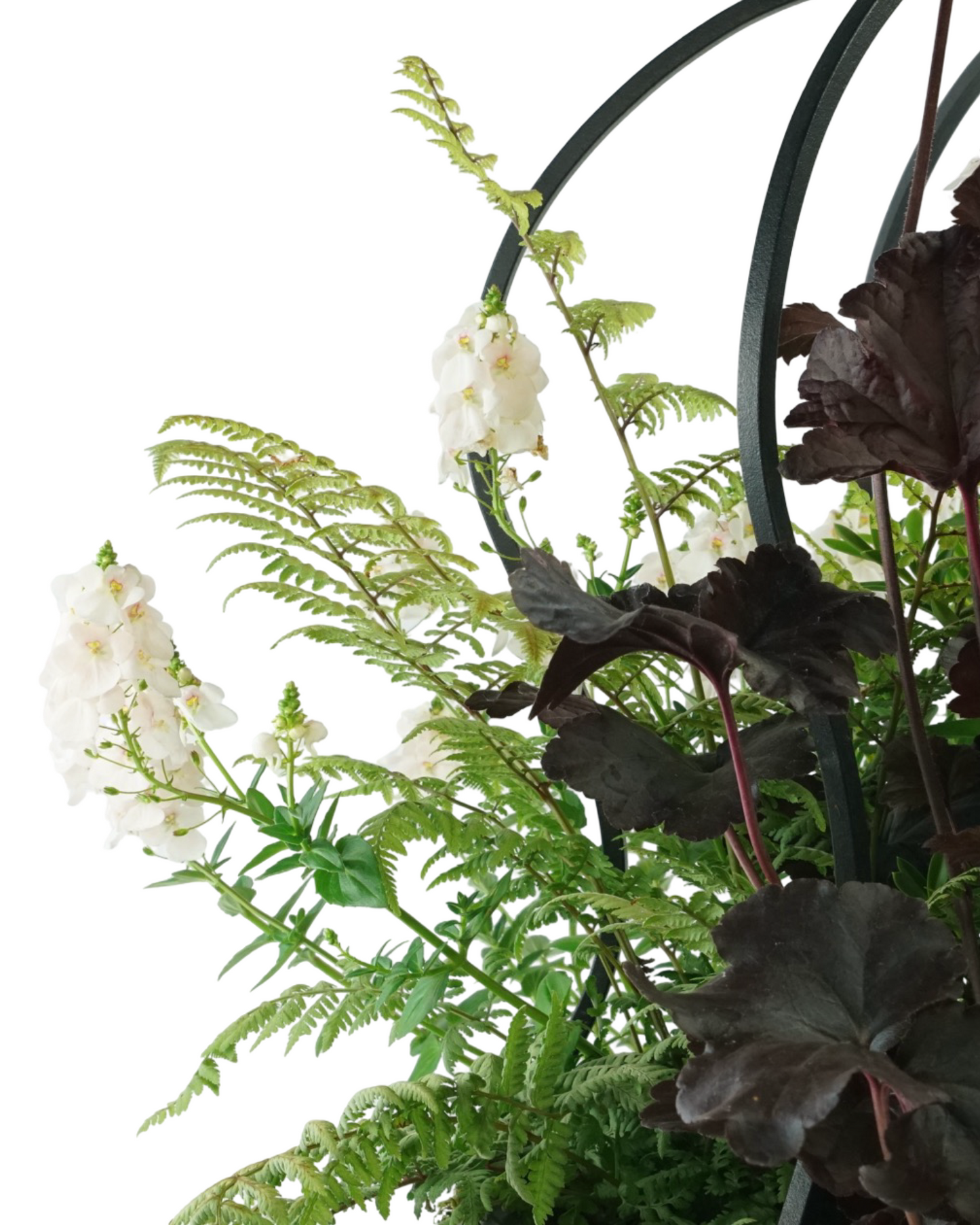 Designer Planter - Planters