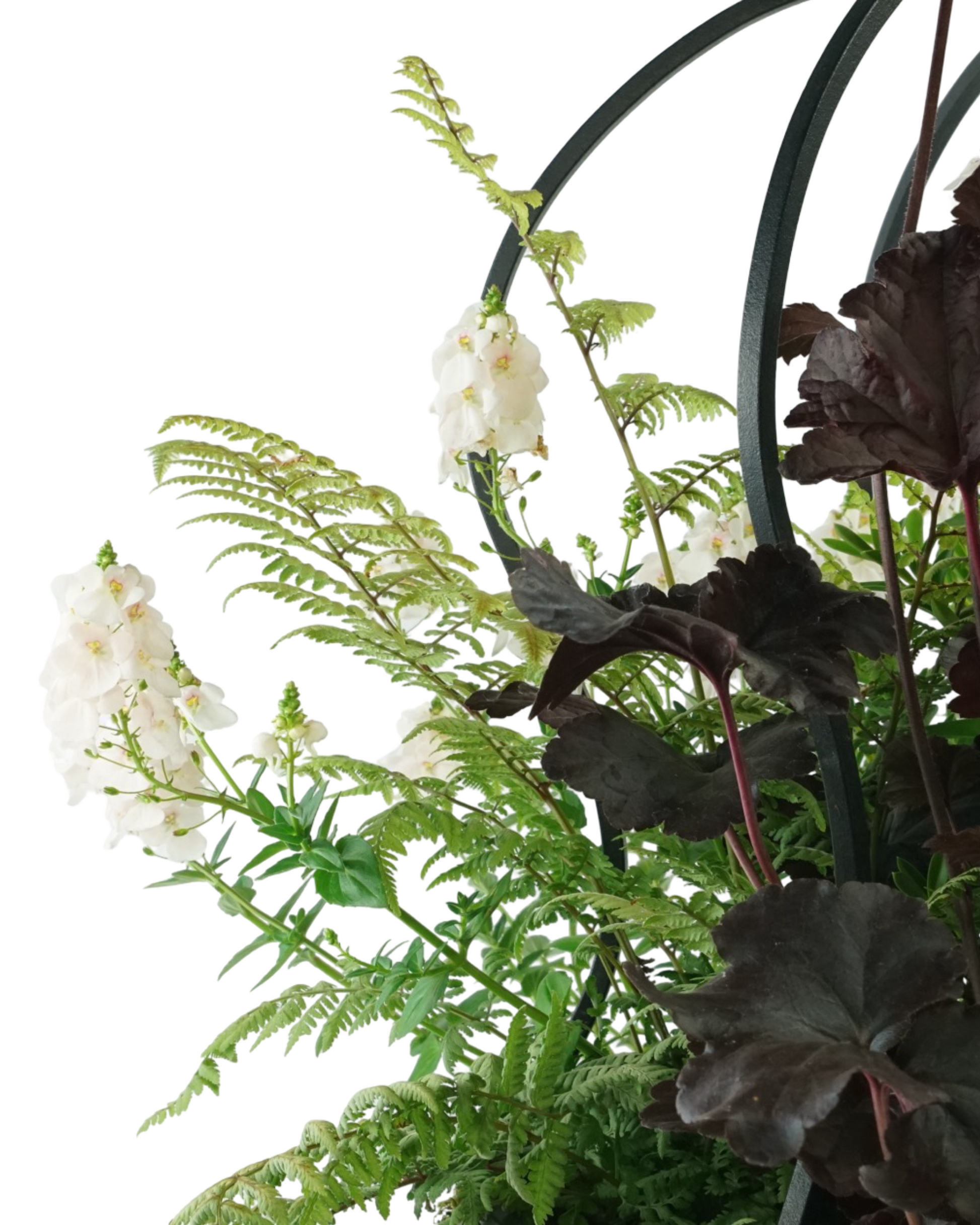 Designer Planter - Planters