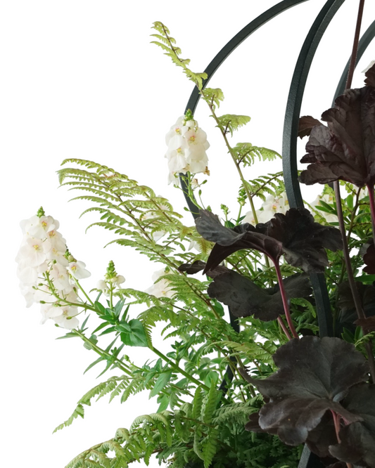 Designer Planter - Planters