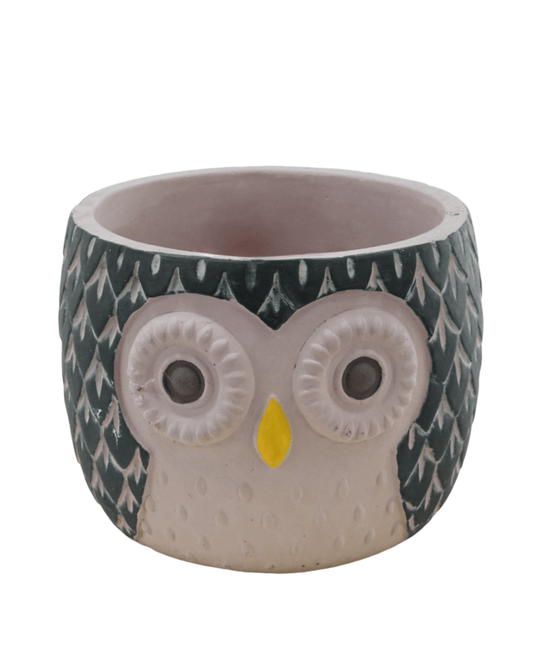 Hootie Owl Pot - The Garden Corner