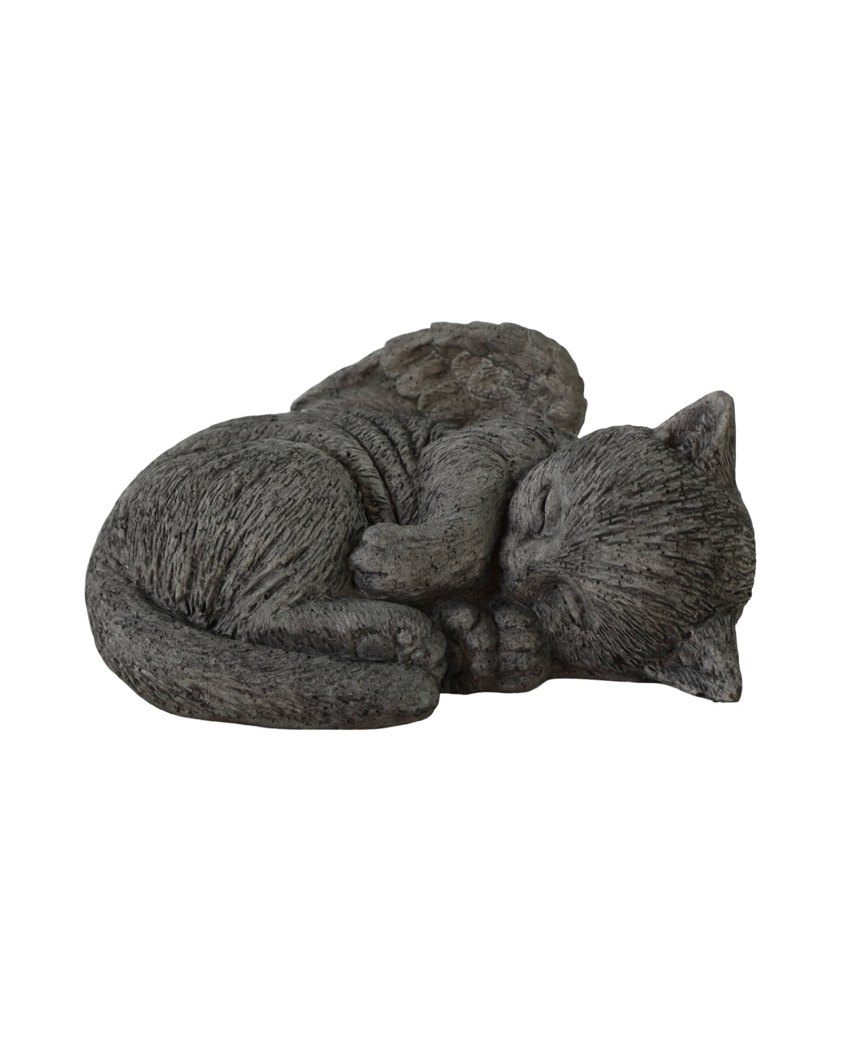 Angel Wing Cat - Outdoor Living