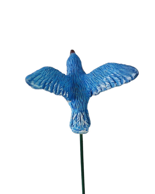 Fairy Bluebird - Outdoor Living