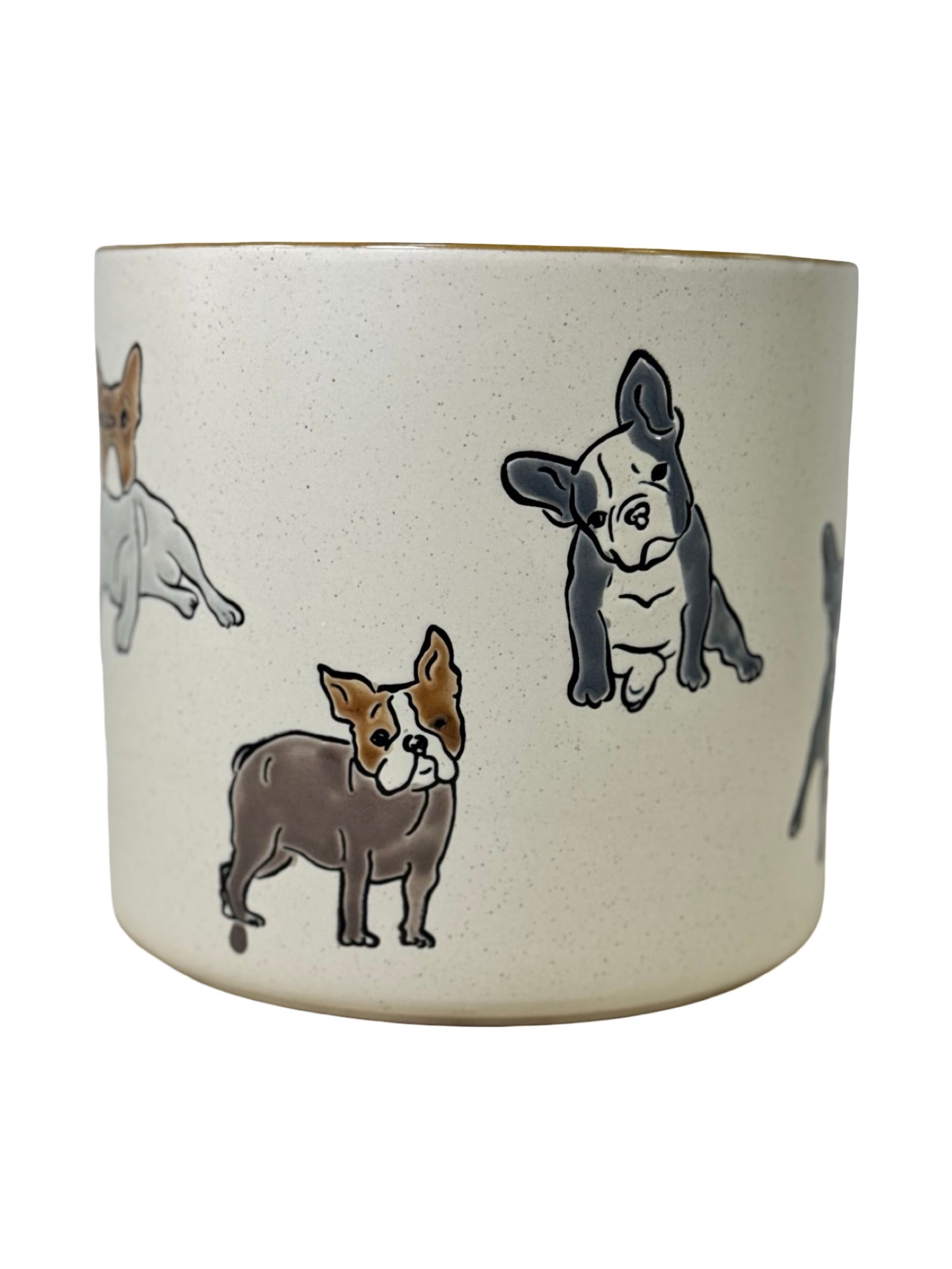Boston Terrier Planter - Pottery