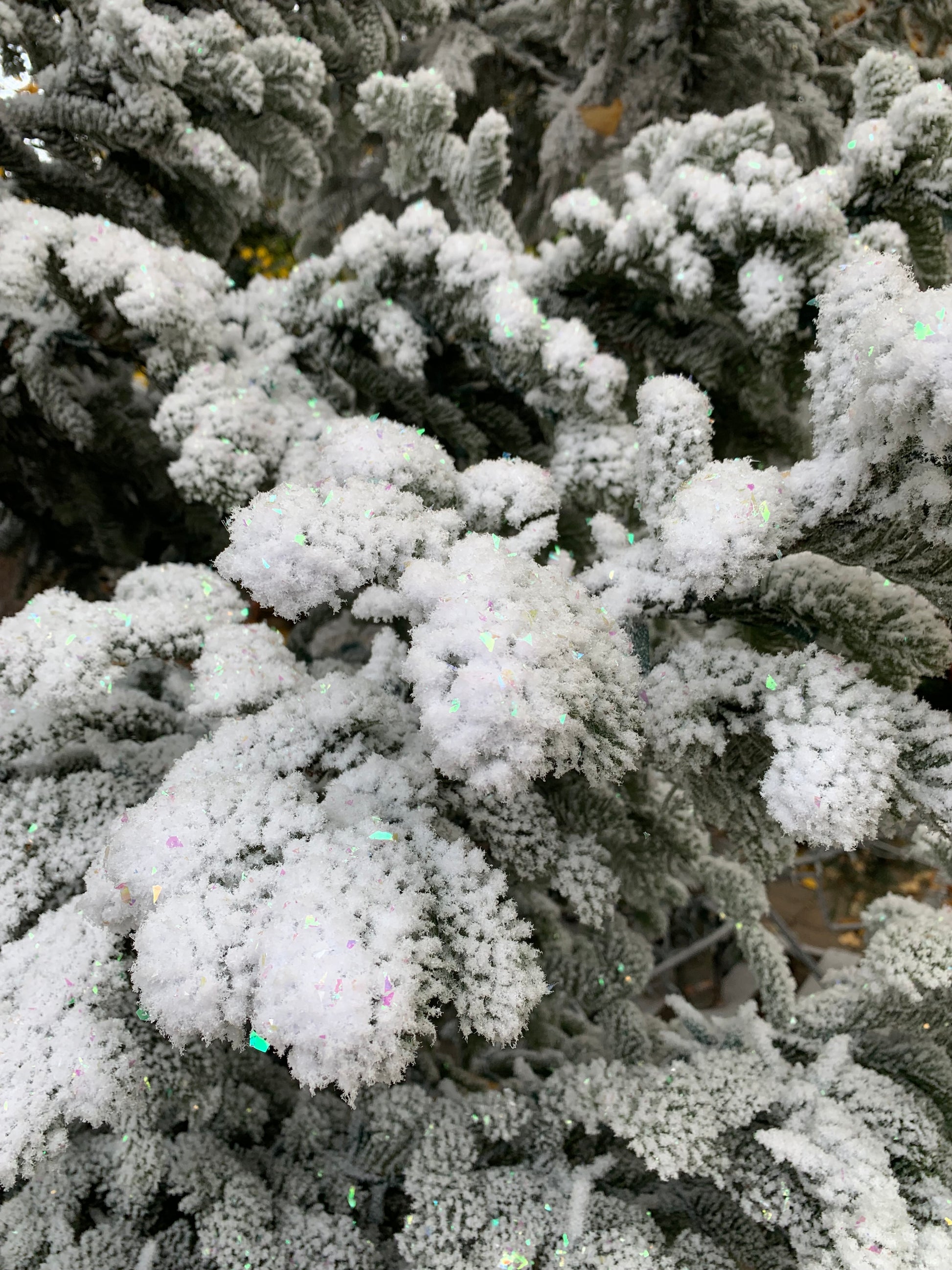 Christmas Tree Flocking Service - Christmas Trees