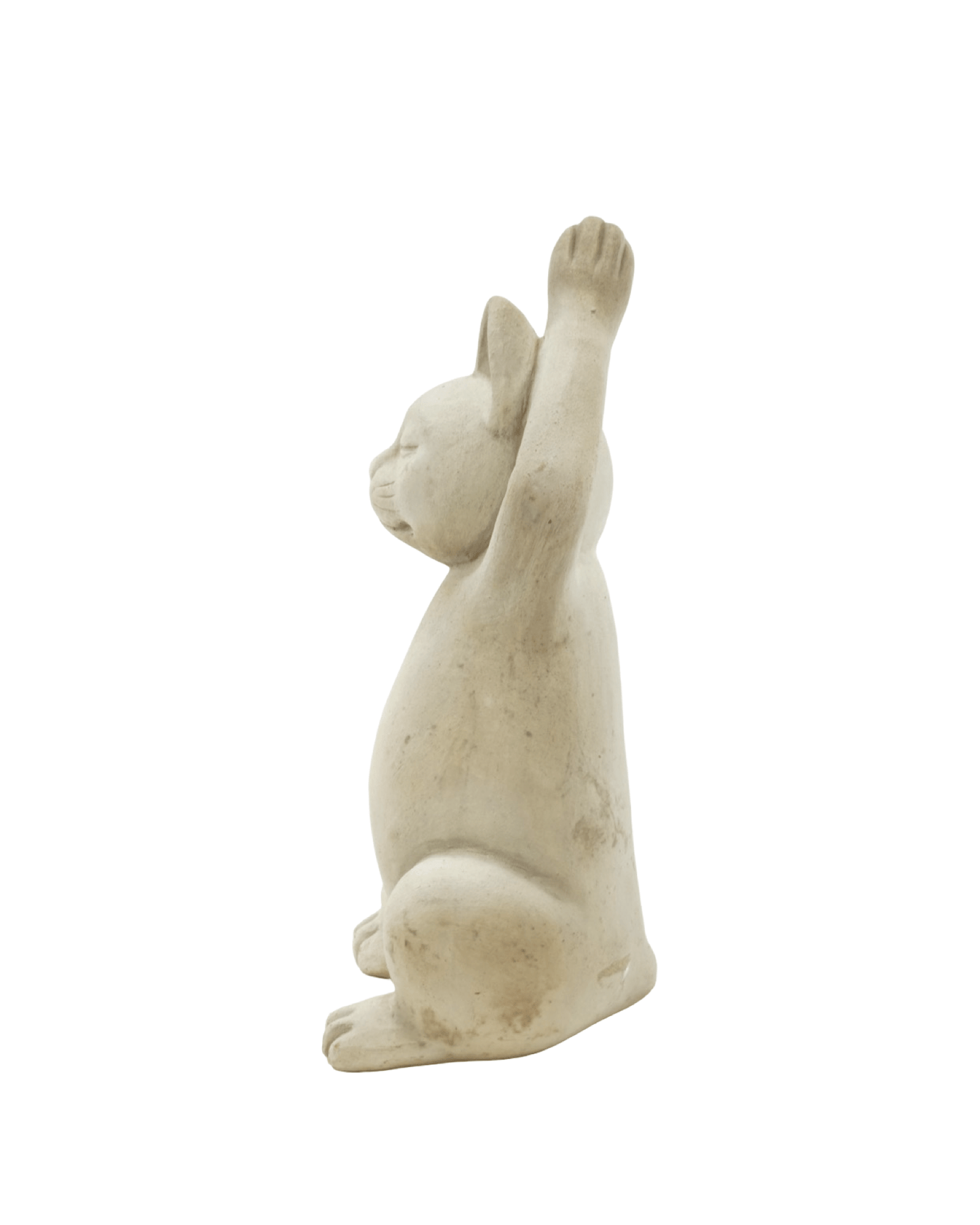 Meditating Cat - The Garden Corner