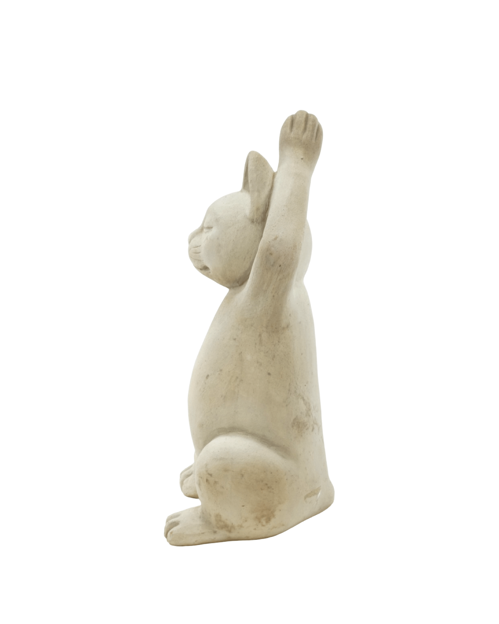 Meditating Cat - The Garden Corner
