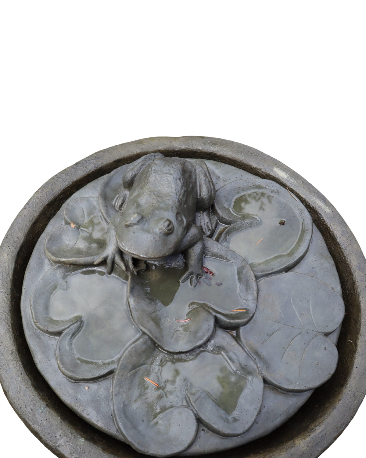 Frog Fountain on Pedestal - Outdoor Living