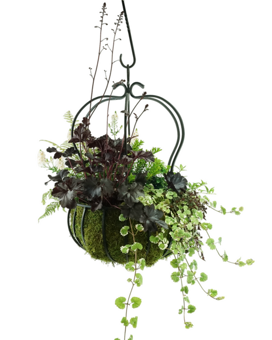 Designer Planter - Planters