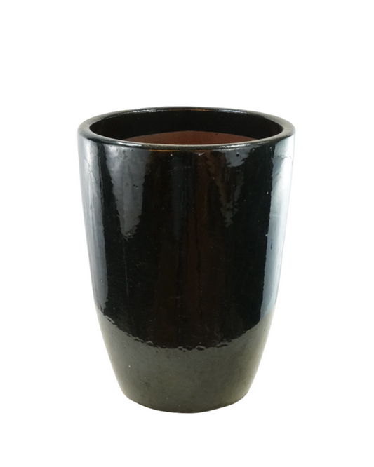 Tall Egg Planter Black Gloss - Pottery