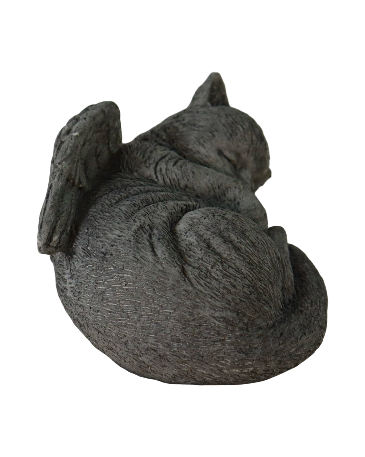 Angel Wing Cat - Outdoor Living