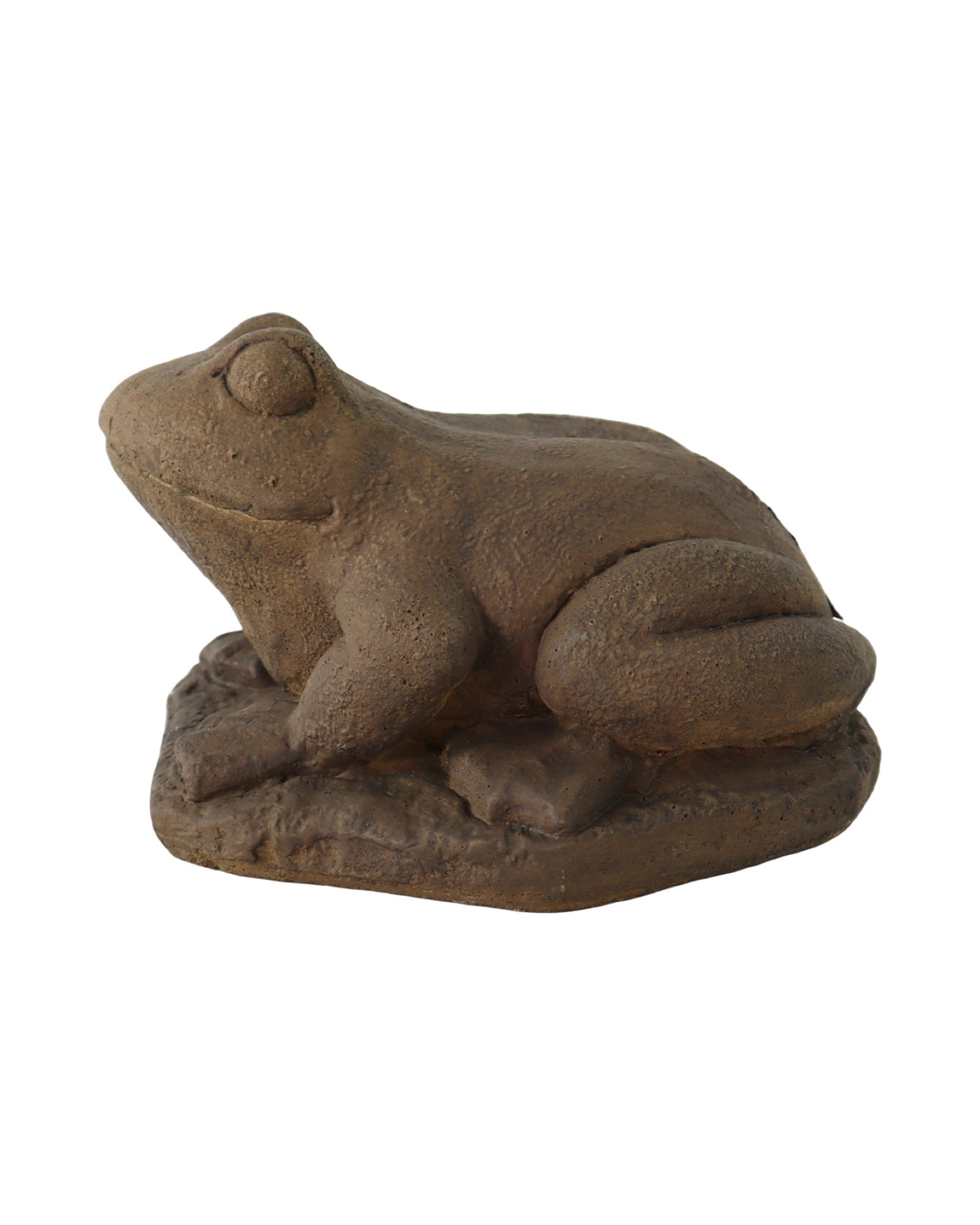 Concrete Frog - Outdoor Living