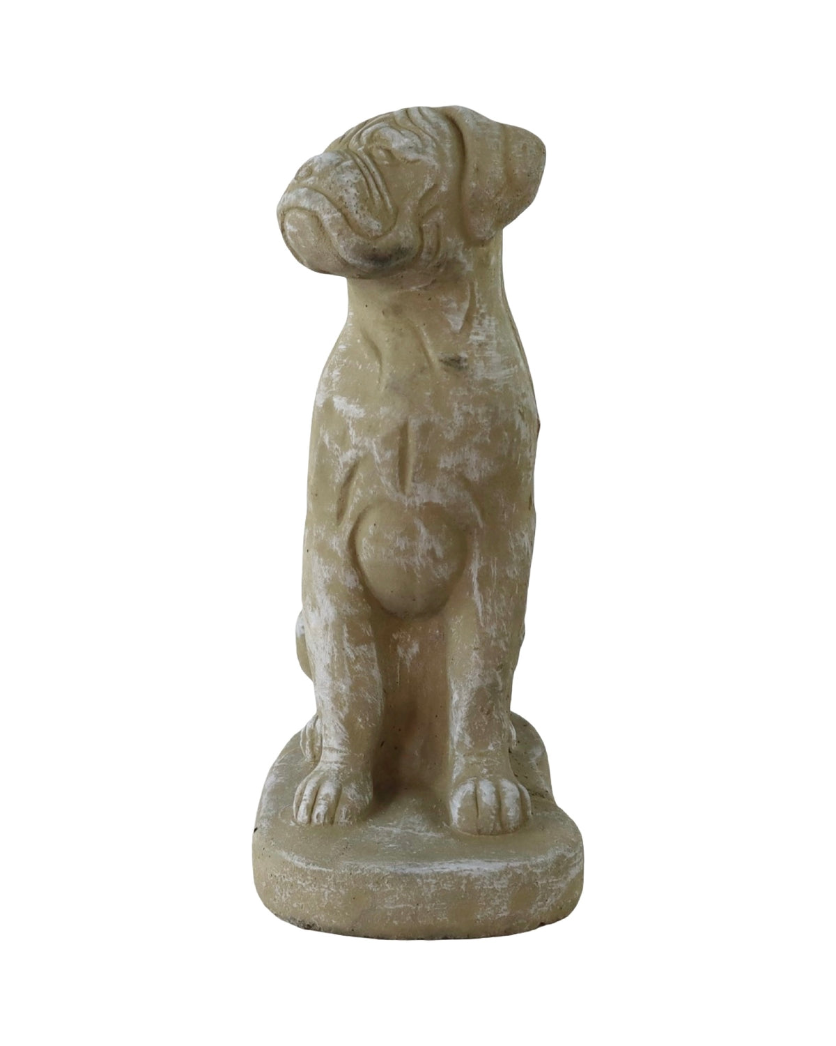 Concrete Boxer Dog - Outdoor Living