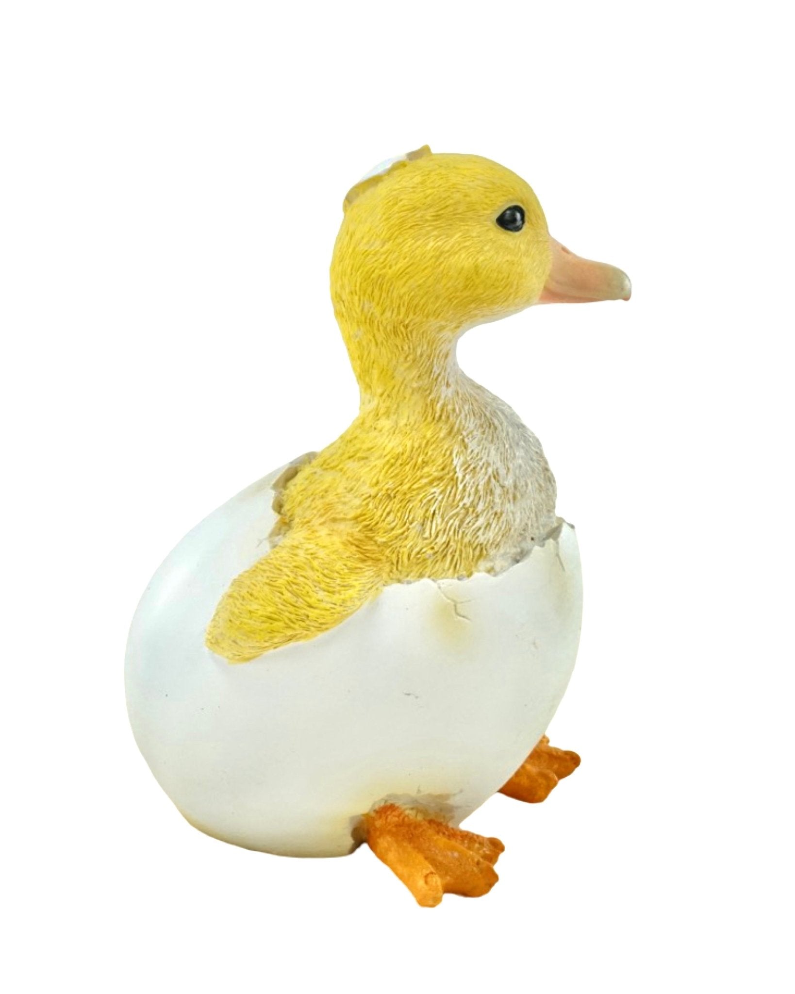 Duckling - The Garden Corner