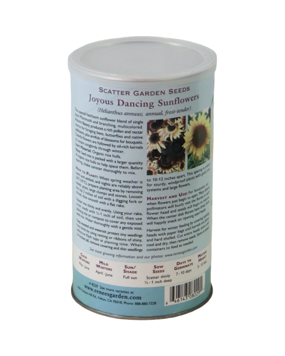 Scatter Garden Seeds Sunflowers - Bulbs and Seeds