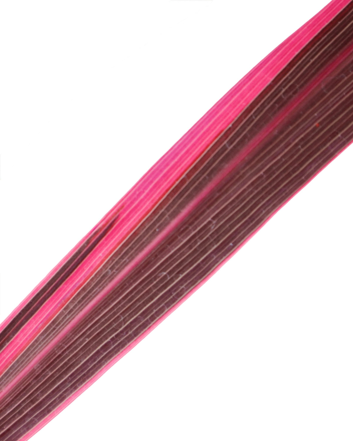 Cordyline banksii 'Electric Pink' - Perennials
