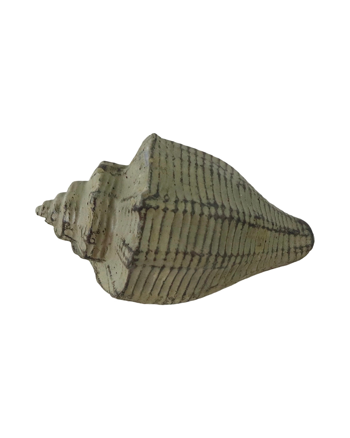 Concrete Conch Shell - Outdoor Living