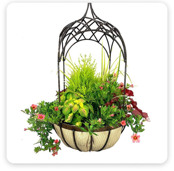 Build Your Own Basket - Workshops