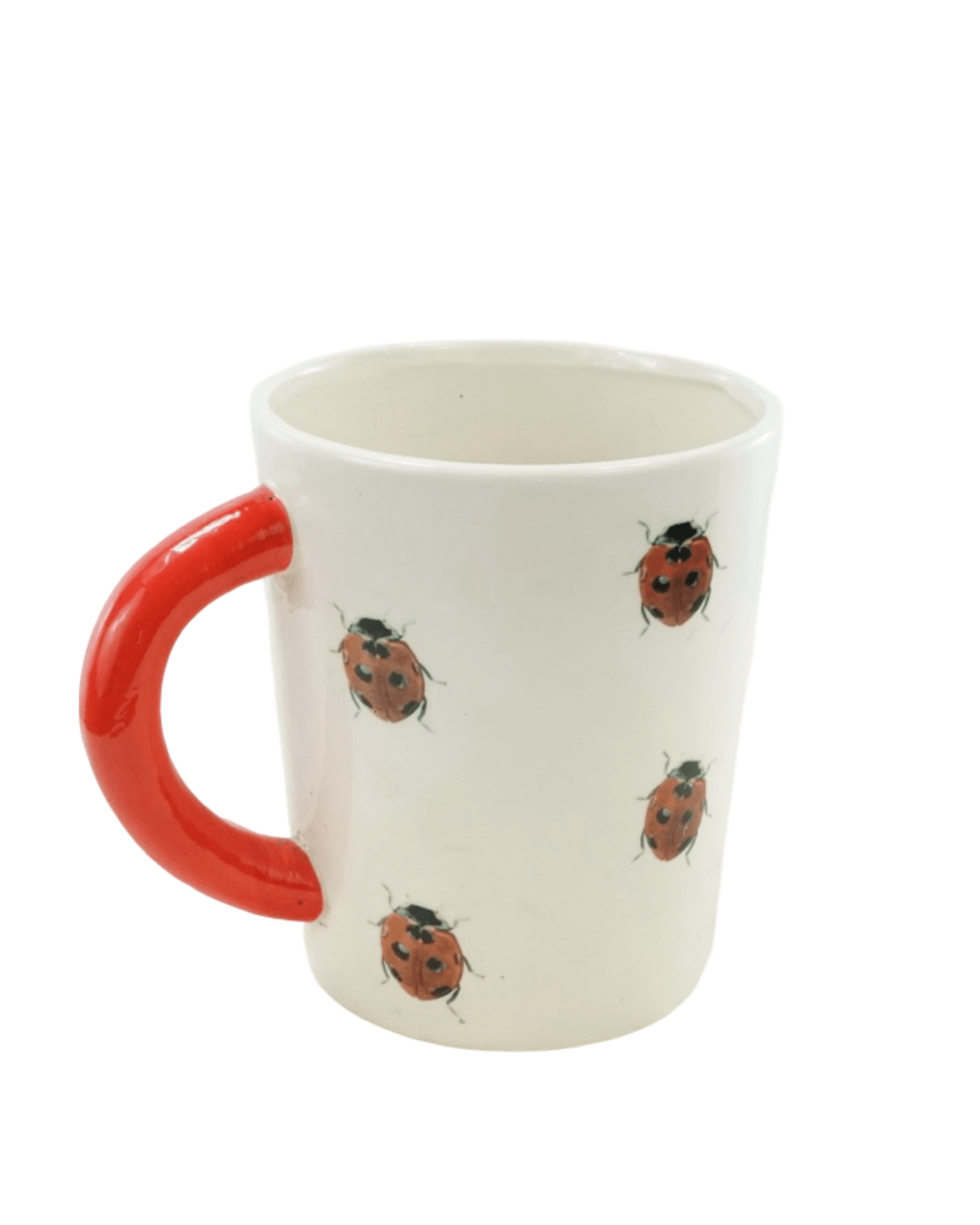 Bug Mug Planter - The Garden Corner