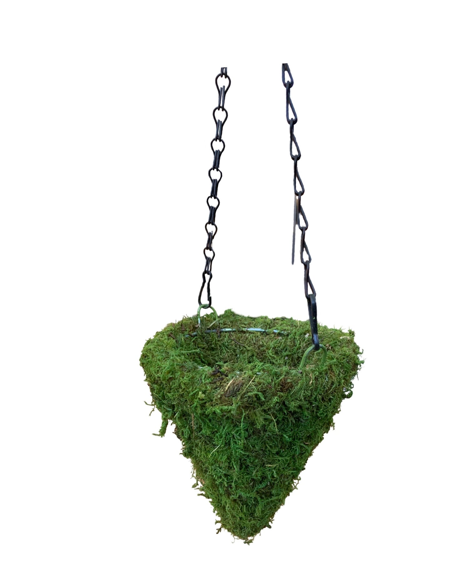 Mini Moss Hanging Planters 6 Inch