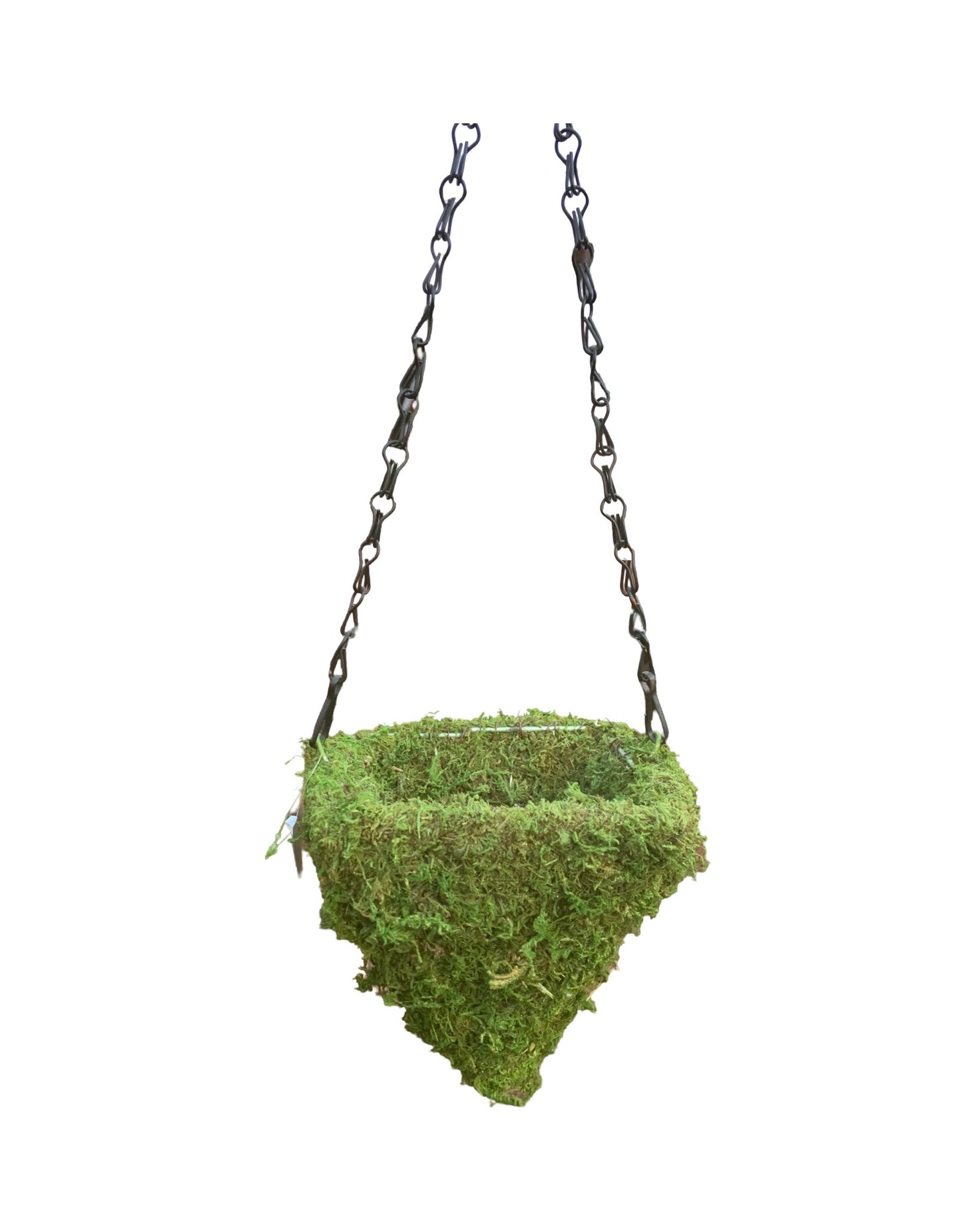 Mini Moss Hanging Planters 6 Inch
