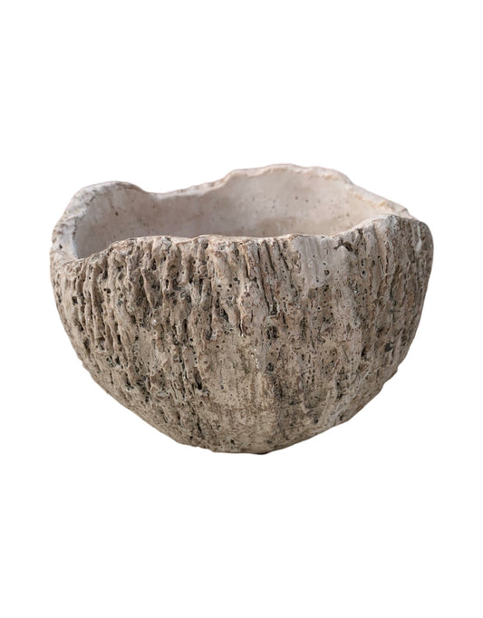 Pot Log Live Edge