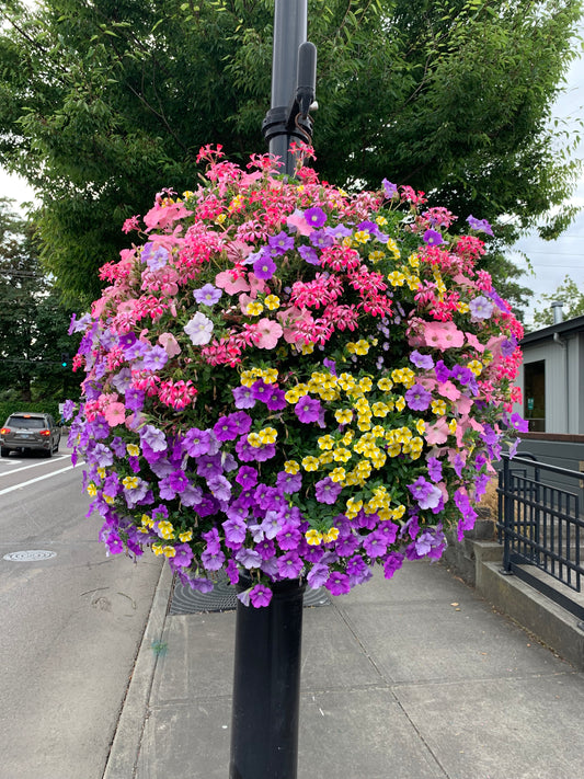 Plant Your Passion Basket Workshop - 5/3/25