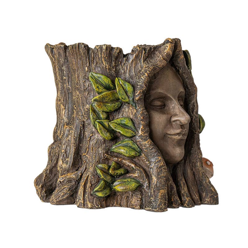 Fairy Tree Face with Mushroom Planter - The Garden Corner