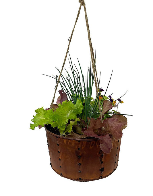 Edible Hanging Garden 1 - The Garden Corner